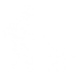 dog-with-belt-walking-with-a-man